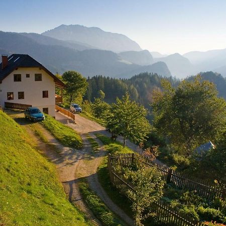 Turisticna Kmetija Perk Villa Solčava Kültér fotó