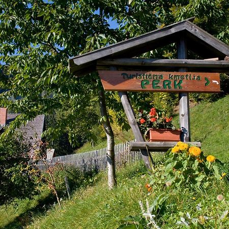 Turisticna Kmetija Perk Villa Solčava Kültér fotó