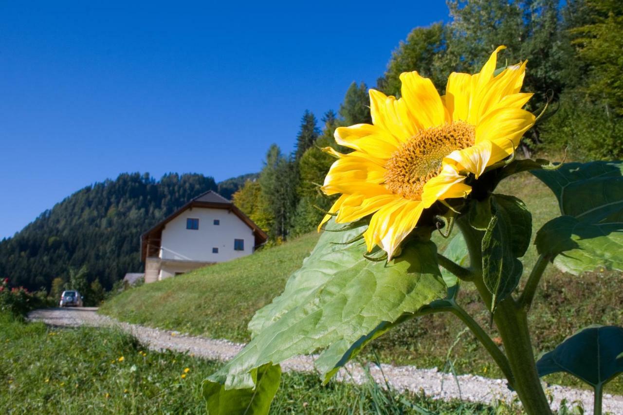 Turisticna Kmetija Perk Villa Solčava Kültér fotó