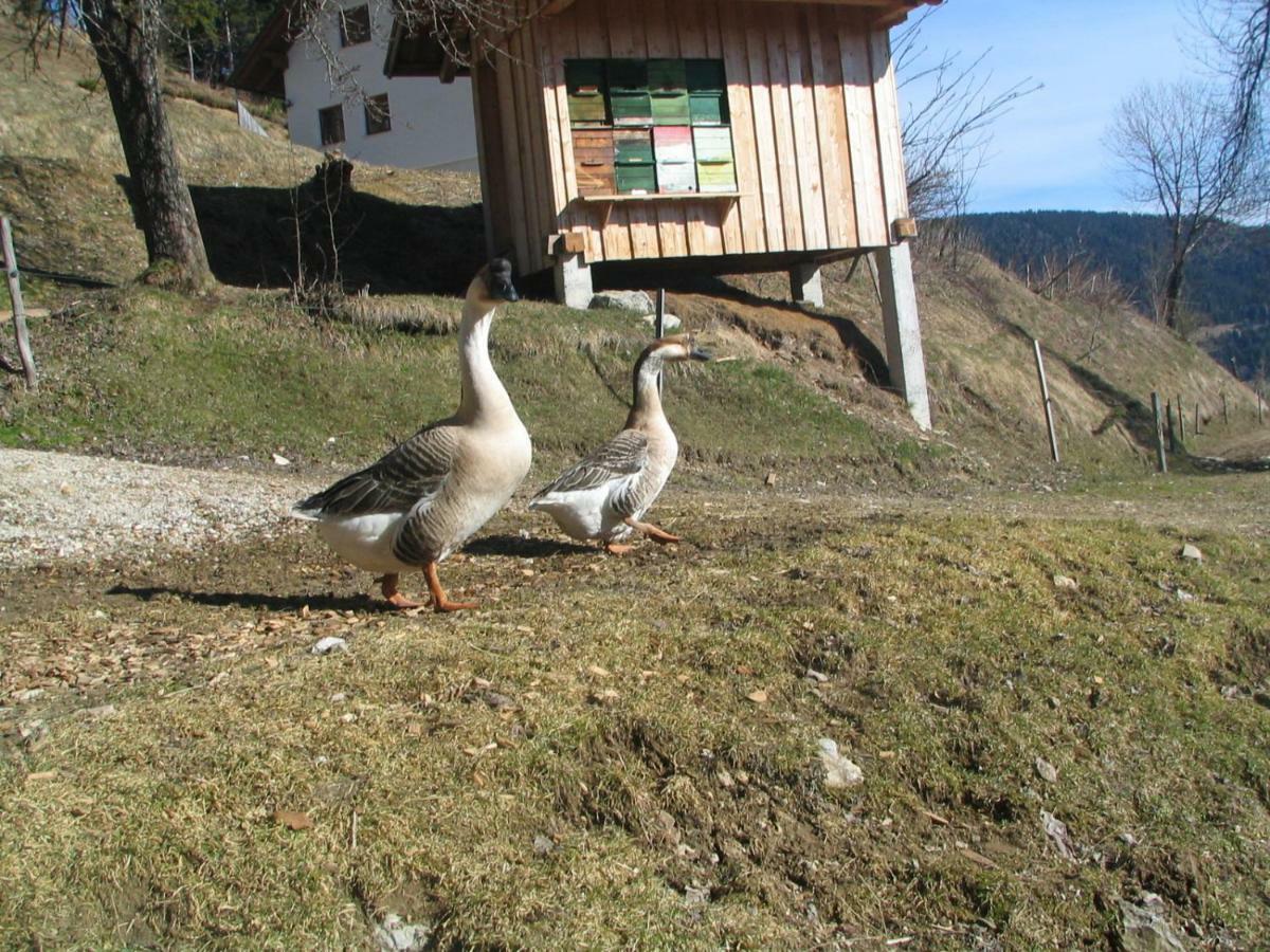 Turisticna Kmetija Perk Villa Solčava Kültér fotó