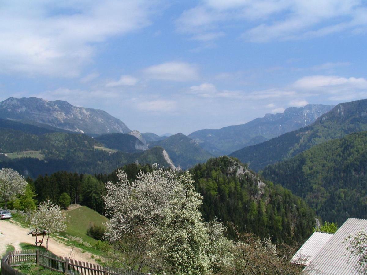 Turisticna Kmetija Perk Villa Solčava Kültér fotó