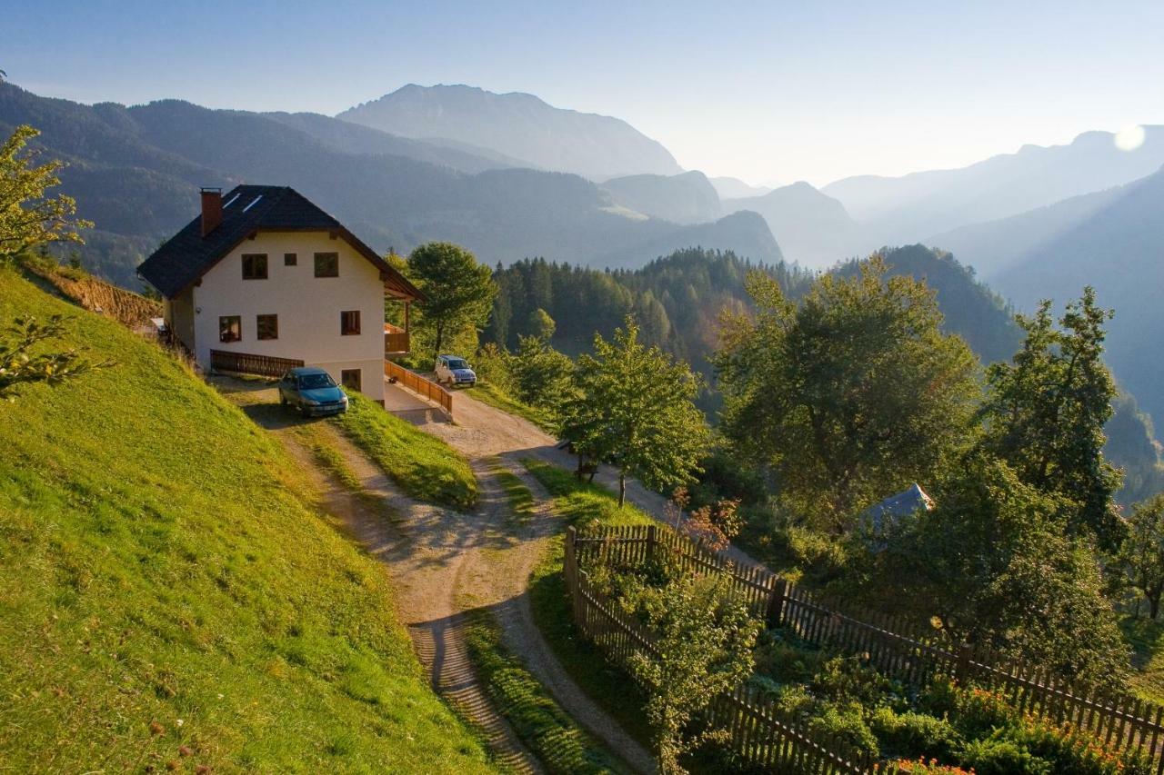 Turisticna Kmetija Perk Villa Solčava Kültér fotó