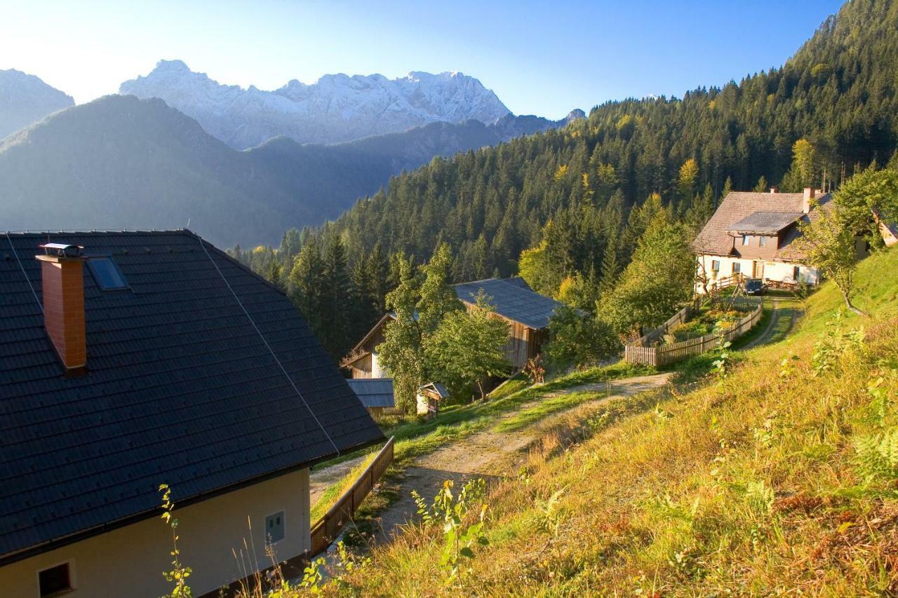 Turisticna Kmetija Perk Villa Solčava Kültér fotó