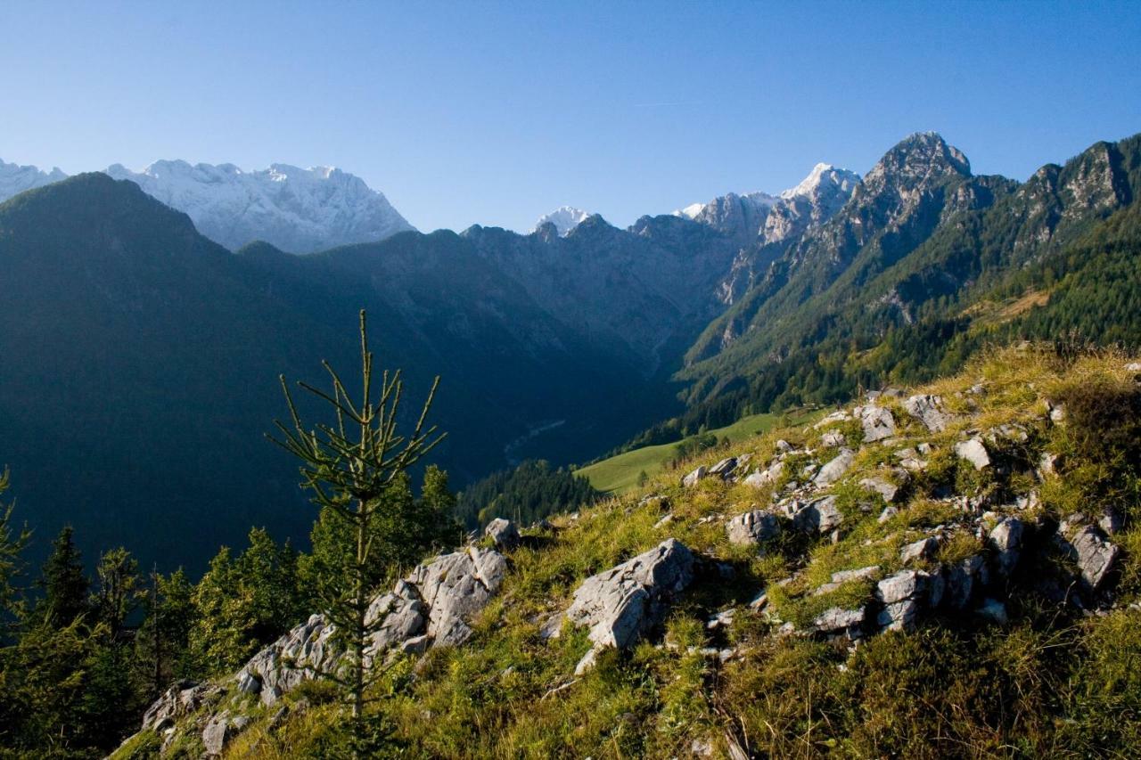 Turisticna Kmetija Perk Villa Solčava Kültér fotó
