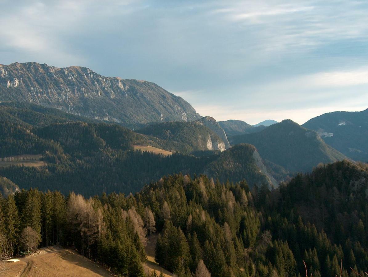 Turisticna Kmetija Perk Villa Solčava Kültér fotó