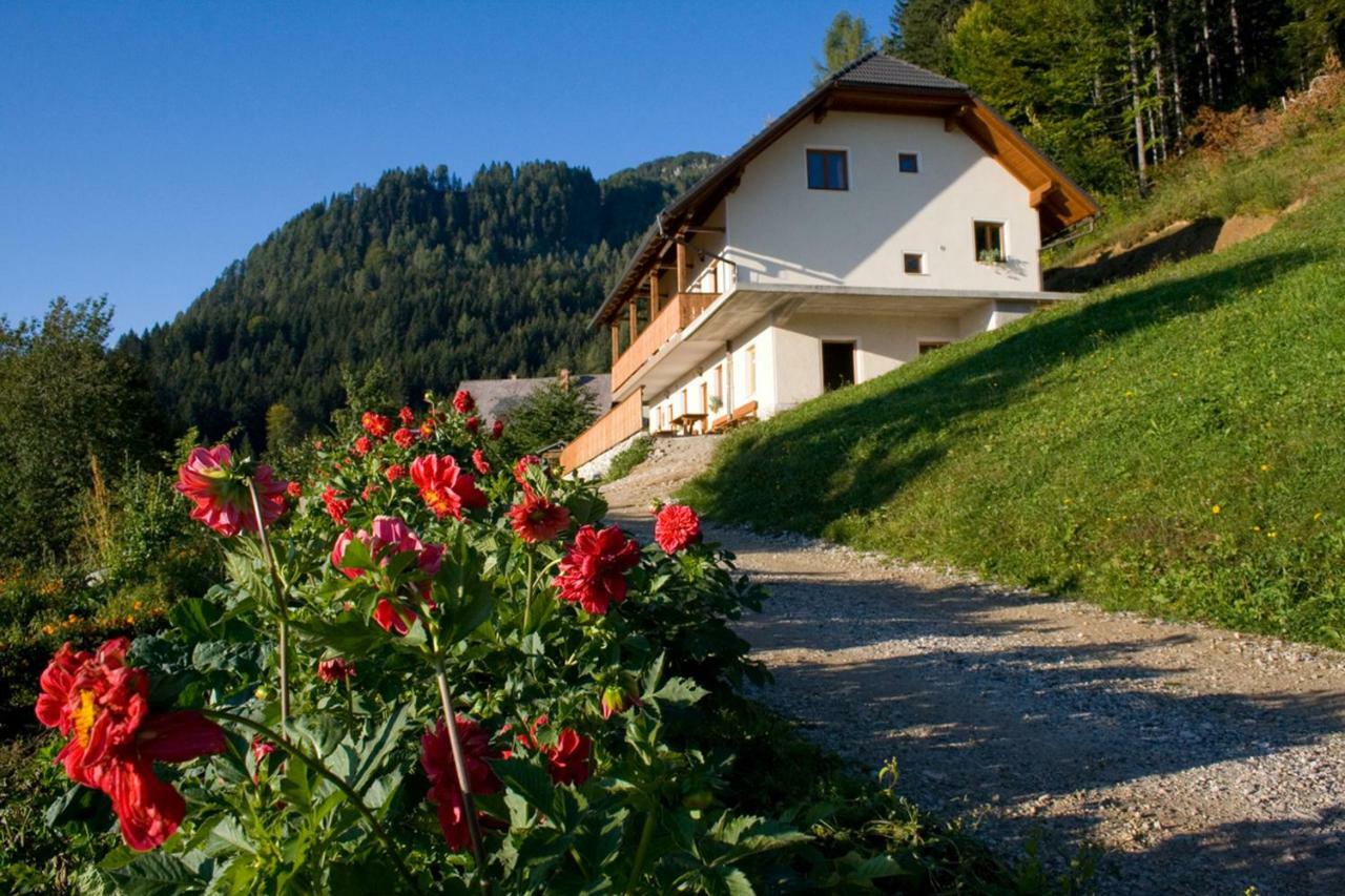 Turisticna Kmetija Perk Villa Solčava Kültér fotó