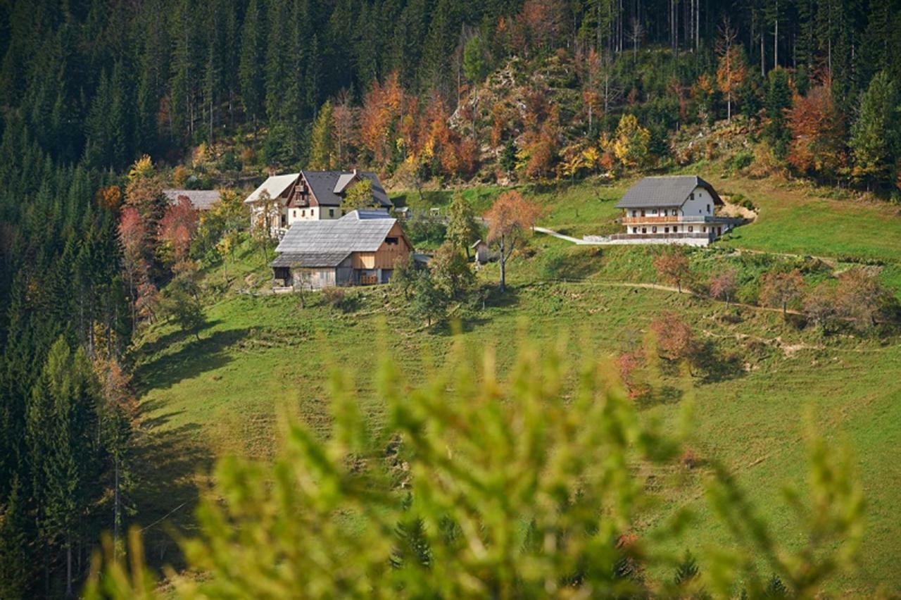 Turisticna Kmetija Perk Villa Solčava Kültér fotó