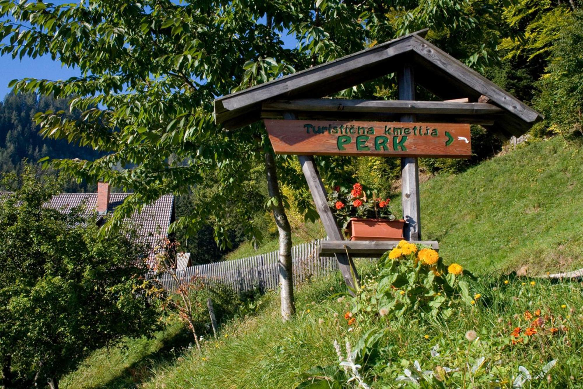 Turisticna Kmetija Perk Villa Solčava Kültér fotó
