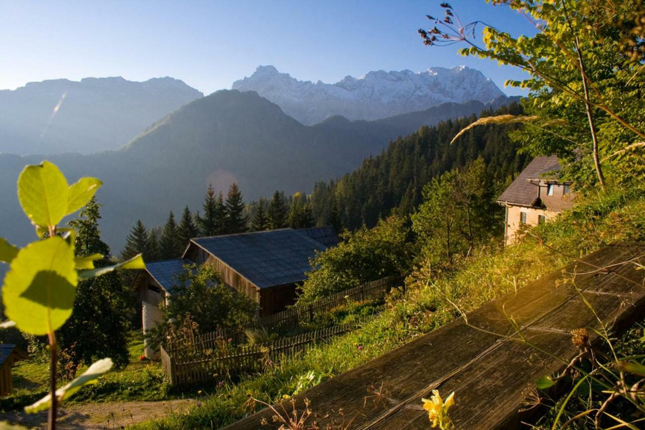 Turisticna Kmetija Perk Villa Solčava Kültér fotó