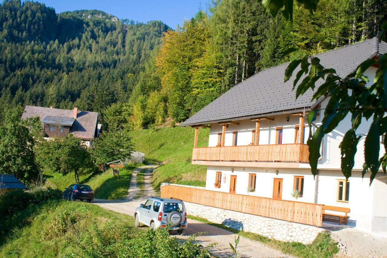 Turisticna Kmetija Perk Villa Solčava Kültér fotó
