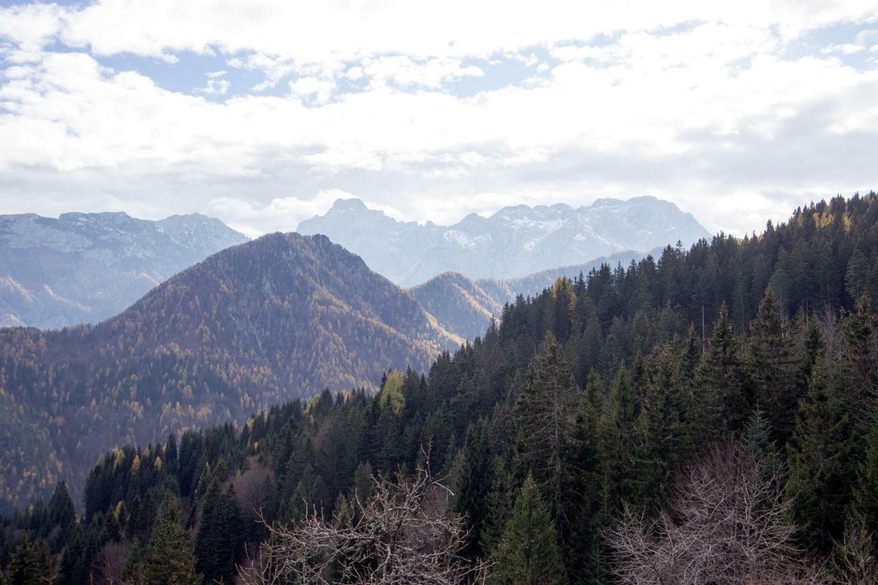 Turisticna Kmetija Perk Villa Solčava Kültér fotó