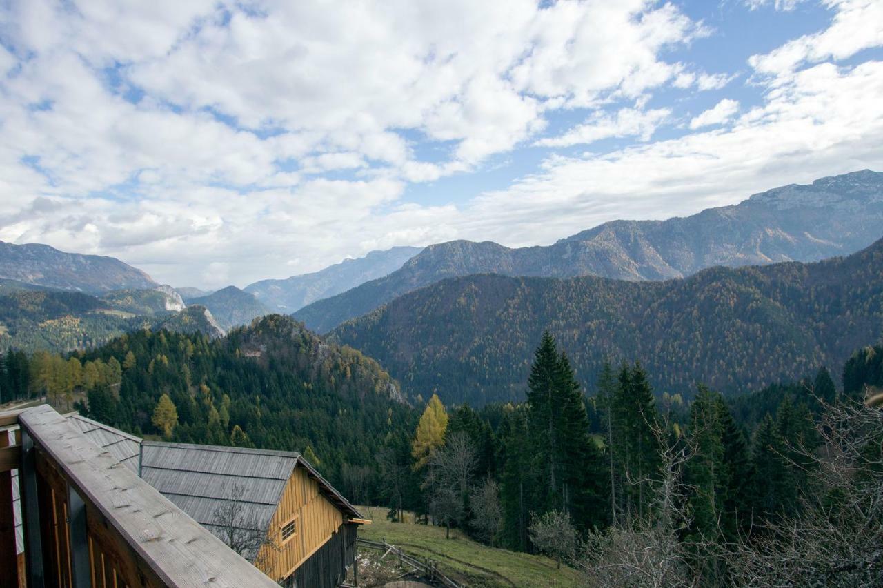 Turisticna Kmetija Perk Villa Solčava Kültér fotó